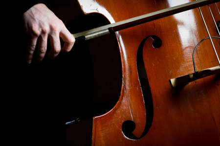 Color detail of a vintage double bassの写真素材