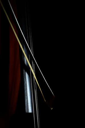 Color detail of a vintage double bass