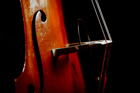Color detail of a vintage double bassの写真素材