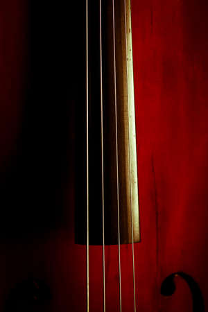 Color detail of a vintage double bassの写真素材