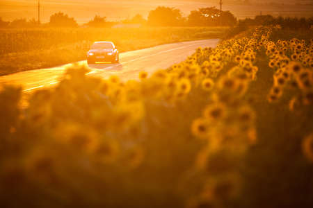 Bucharest, Romania - July 3, 2013: A BMW M3 car drives through a beautiful scenery, at sunset. The BMW M3 is a high-performance version of the BMW 3-Series, developed by BMW's motorsport division, BMW M.のeditorial素材