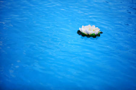 An artificial water lily floating on blue water の写真素材