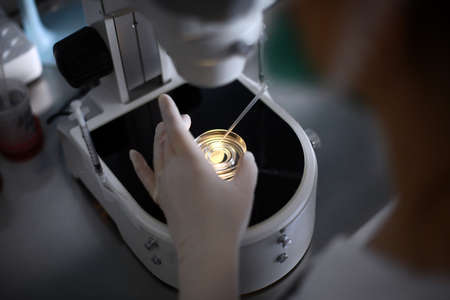 A doctor examines a blood sample at a microscope.の写真素材