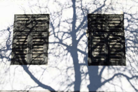 Color shot of a wooden window with closed shutters.の写真素材