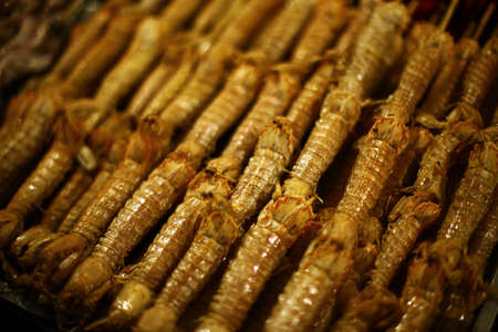 Close up of some shrimp on sale on a food market in China.の写真素材