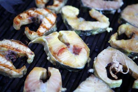 Color detail shot of some fish fillet on a grill.の写真素材