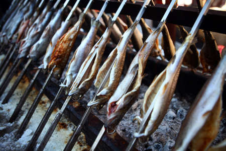 Color detail shot of some fish on a grill.