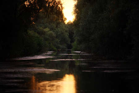 Color image of a river canal in the Danube delta, Romania.の写真素材