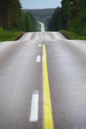 Color image of a lonely road through a forest.