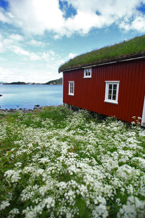 Color image of some traditional houses in Reine, Lofoten Islands, Norway.のeditorial素材
