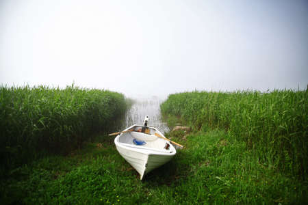Color image of a white boat on a foggy day.の写真素材