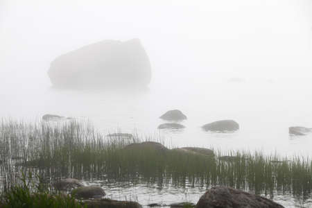 Some stones in a lake on a misty morning.の写真素材