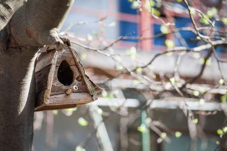 Color image of wooden hand crafted bird nest house in a tree.の写真素材