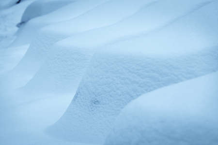 A line of parked cars covered in snow.の写真素材