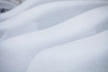 A line of parked cars covered in snow.の写真素材