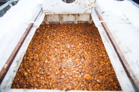 Color image of apple marc in a container.
