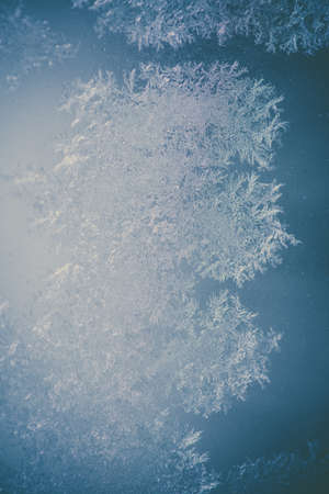 Close up image of some icy flowers on a frozen window.