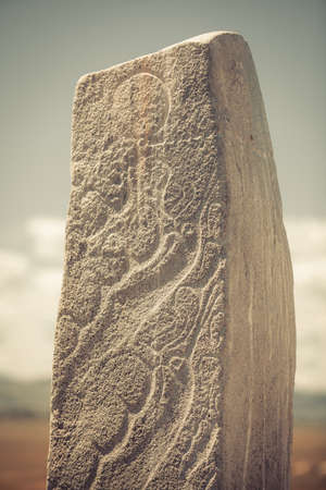 Color image of a deer stone in Mongolia.の写真素材