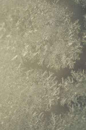 Close up image of some icy flowers on a frozen window.