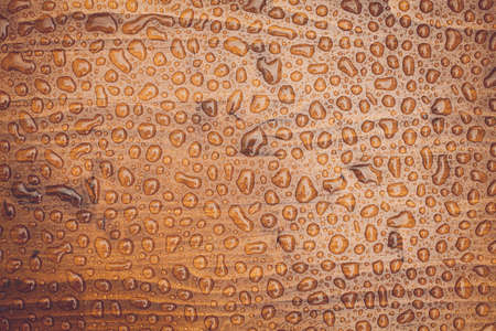 Close up shot of some rain drops on a wooden platform.の写真素材