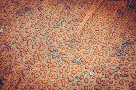 Close up shot of some rain drops on a wooden platform.