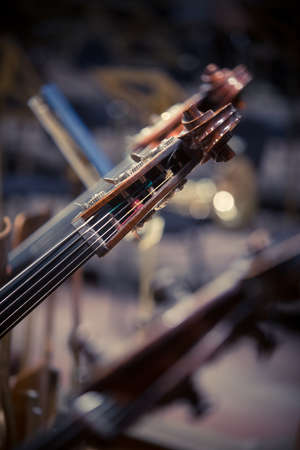 Close up shot of a double bass scroll and tuning pegs.