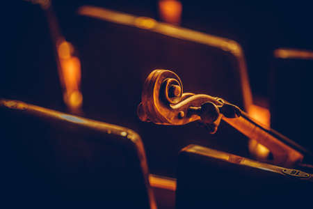 Close up shot of a double bass scroll and tuning pegs.