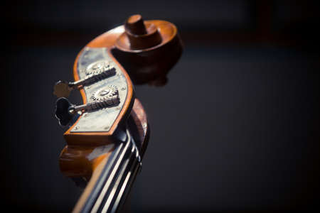 Close up shot of a double bass scroll and tuning pegs.の写真素材