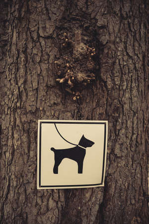 Sign on a tree making the leash on the dog mandatory.の写真素材