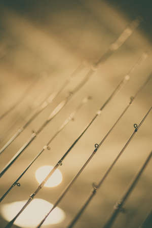 Close up shot shot of many fishing rods.
