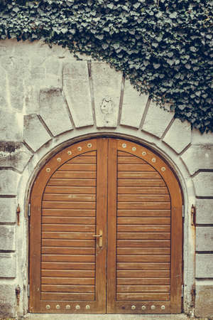 Image of an arched wooden door and some ivy climbing a wall.