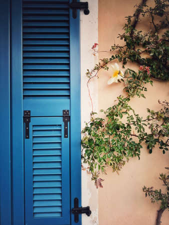 Color image of a closed window with blue shutters and plants around it.の写真素材