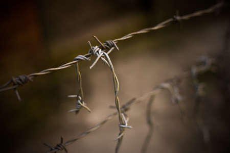 Barbed wire fence detail with shallow depth of field.