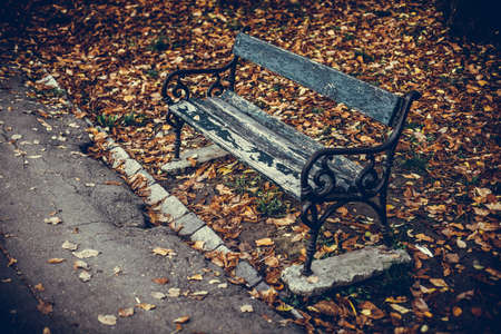 A wooden bench in a park, with autumn leaves on the ground.