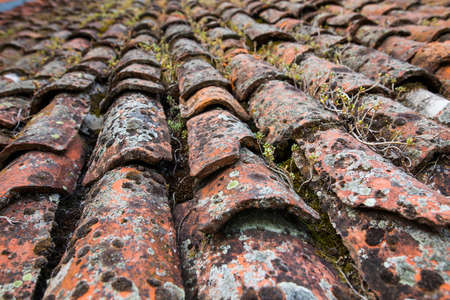 Close up shut of some dirty old roof tiles on a house.の写真素材
