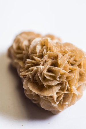 Detailed photo of Desert Rose natural mineral stone cluster.の写真素材