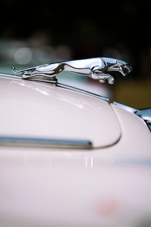 Como, Italy - May 22, 2022: Close up illustrative editorial image of Jaguar logo statuette on a car.のeditorial素材