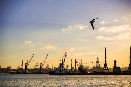 Container terminal, with cranes, in a commercial port, at dusk, with birds flying by.