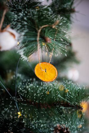 Christmas decoration in a tree, dehydrated orange slice.の写真素材