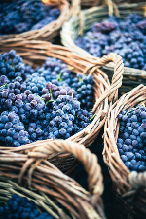 Close up shot of fresh grapes in a basket.の写真素材