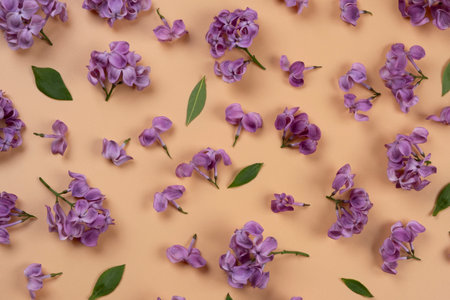 background of purple lilac flowers on a peach or beige background.Summer bright background,floral or...