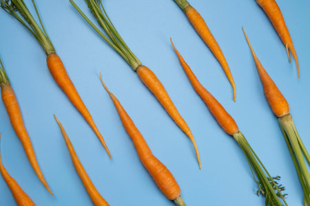 young carrot on blue background, healthy food concept loop, trendy vegetable backgroundの写真素材