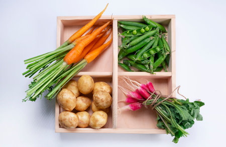 Fresh vegetables in a wooden basket - green peas, radishes, potatoes and carrots close-up ,top view on a white backgroundの写真素材
