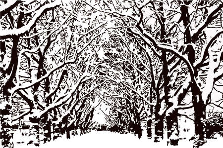 Leafless trees with snow on the branches, park Vectorのイラスト素材