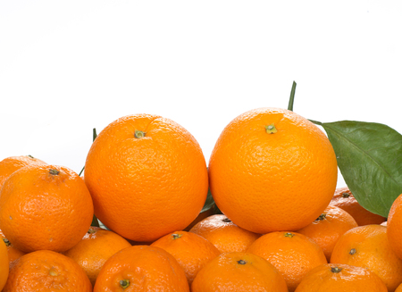 Tangerines and oranges on wooden plateの写真素材