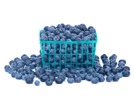 Fresh organic blueberry in green plastic basketの写真素材