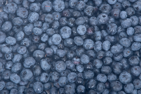 Fresh juicy organic blueberry on white backgroundの写真素材