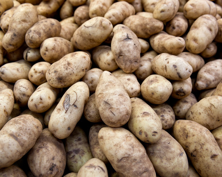 Raw organic potatoes in local farmers market storeの写真素材