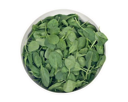 Spinach organic baby leaves in ceramic bowl isolated on white background