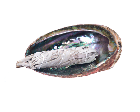 Sage smudge stick in bright polished rainbow abalone shell isolated on white backgroundの写真素材